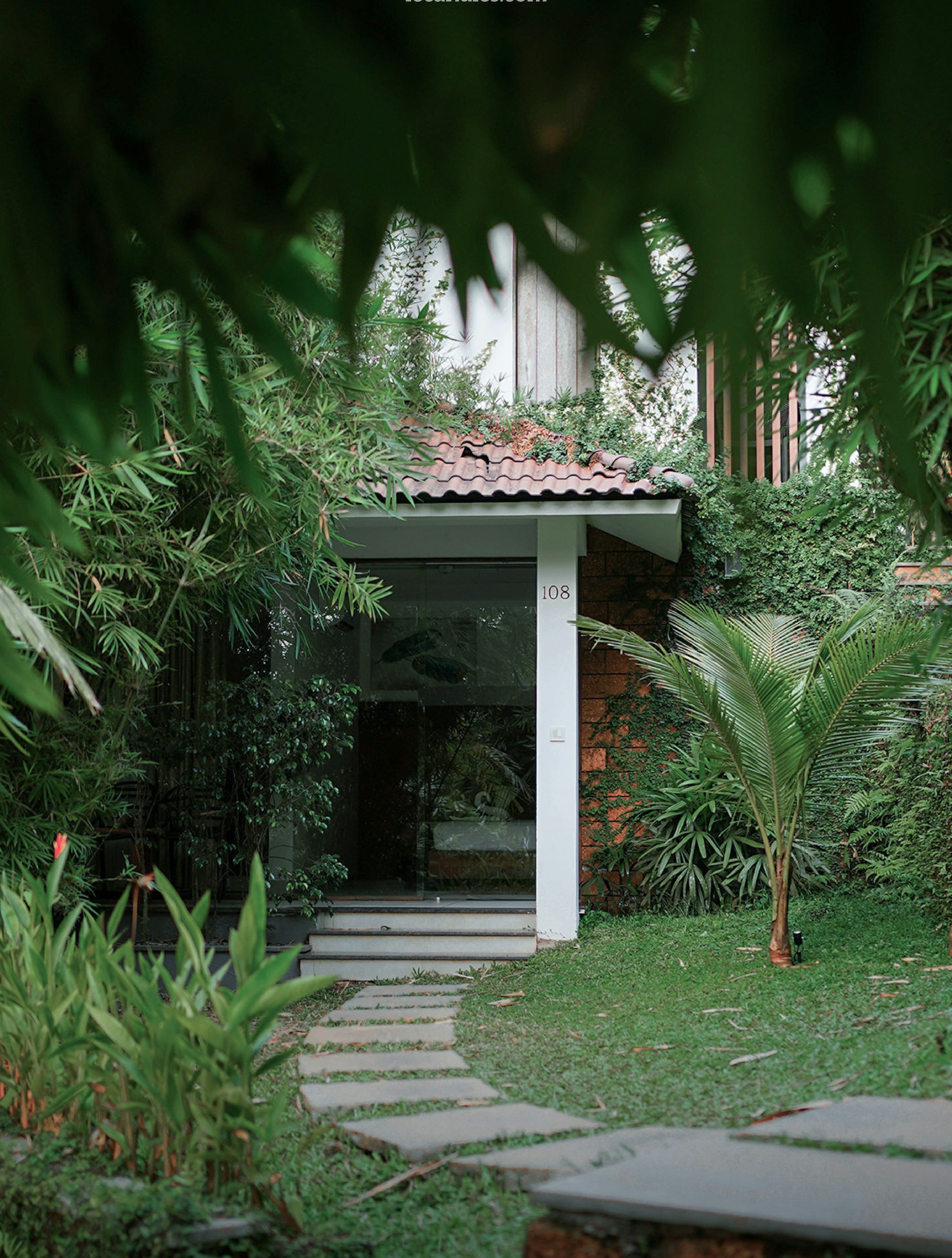 Stone path leading to a building surrounded by greenery