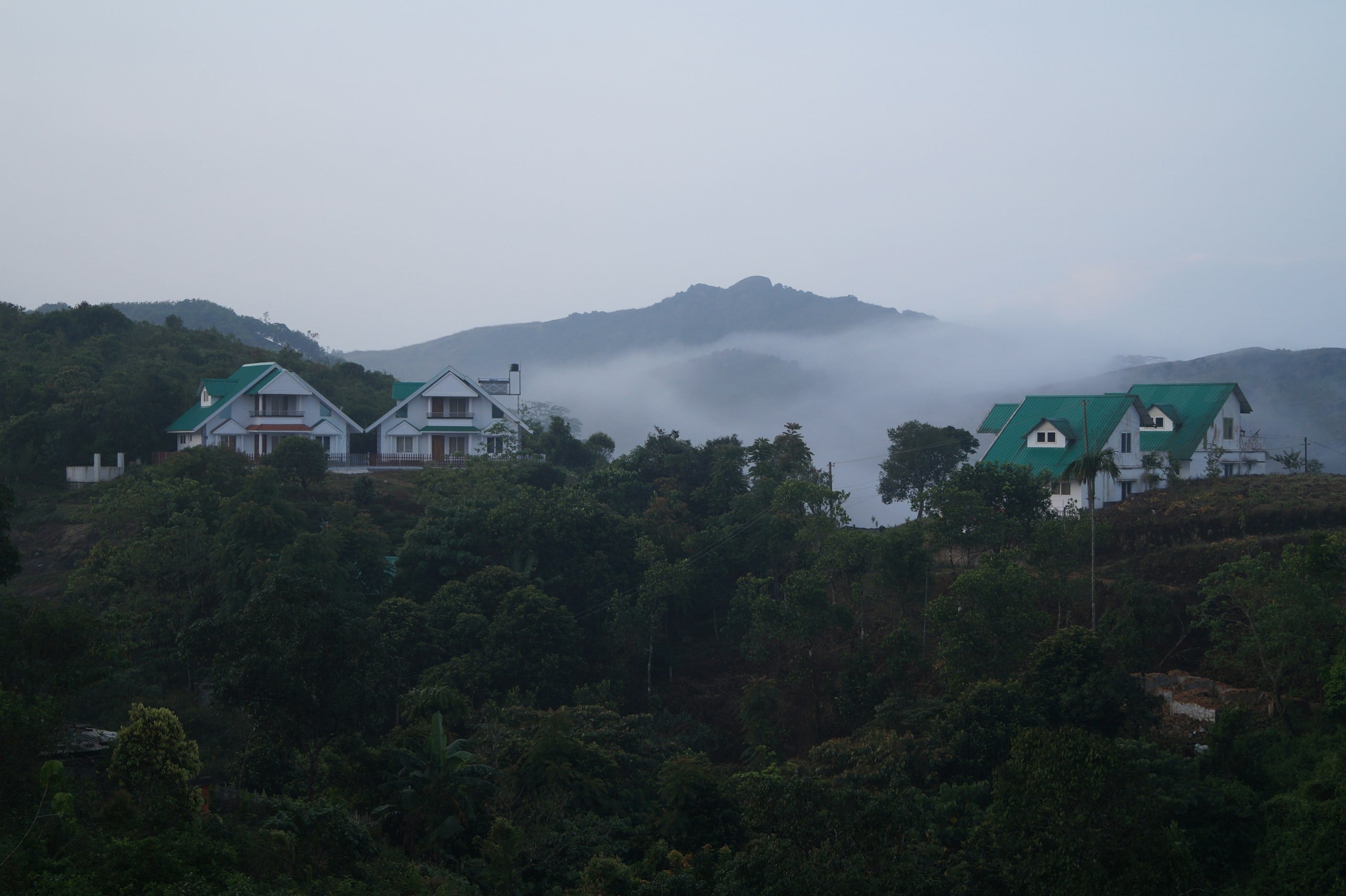 Resort cottages on a forested ridge with mist rolling across the hills